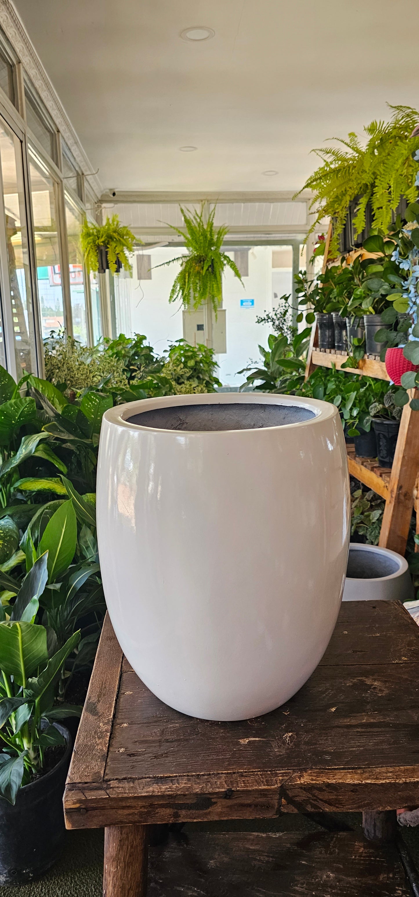 Egg Shaped Fibre Pot