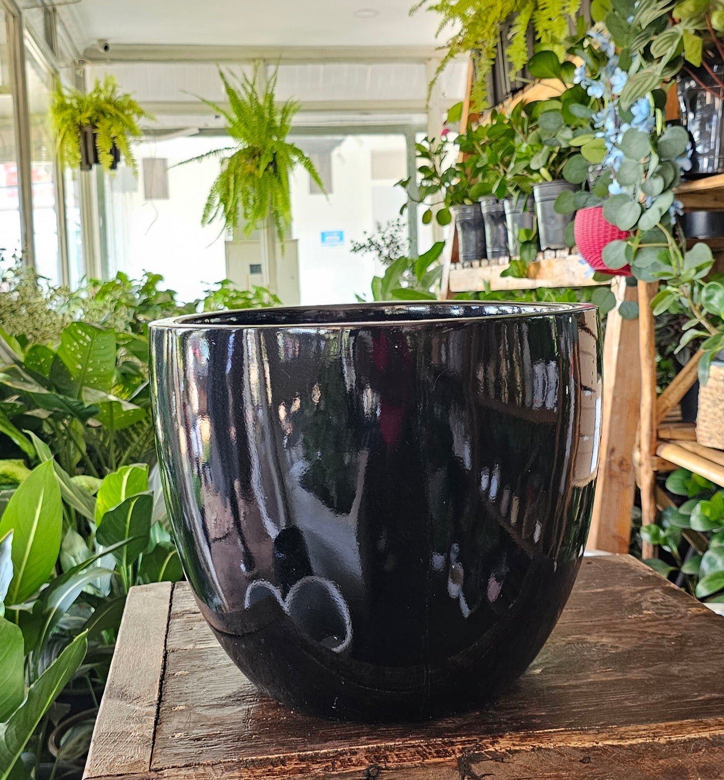 Half Egg Fibre Planters