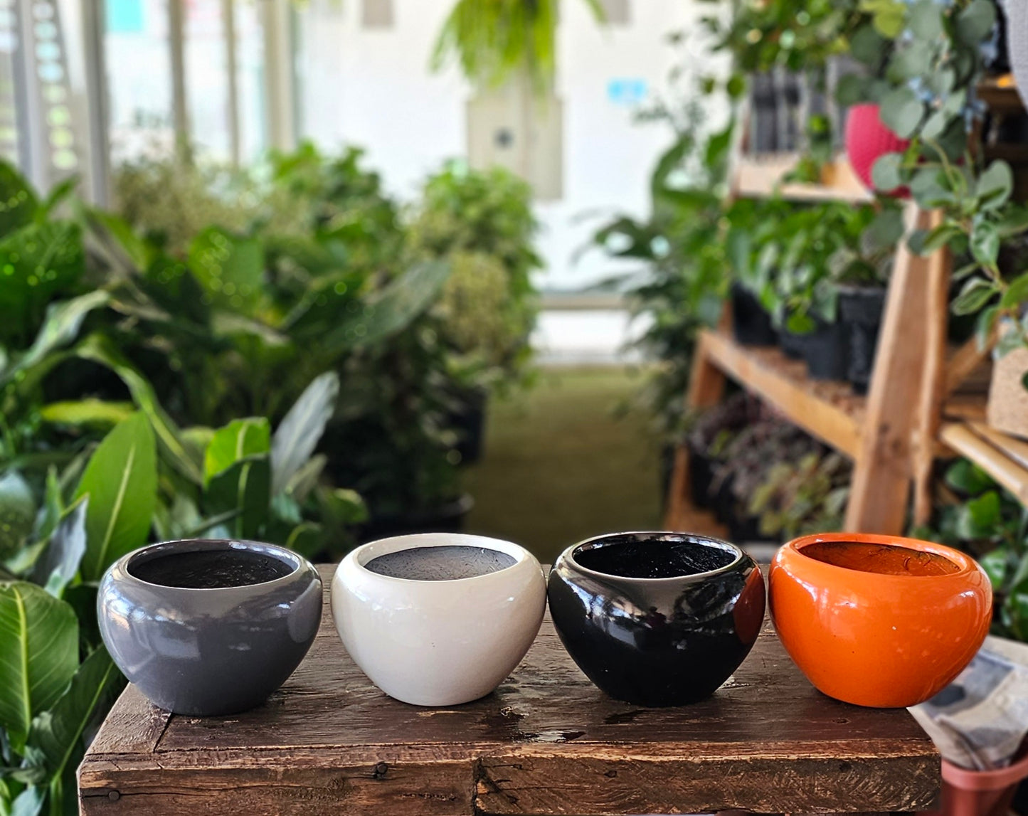 Egg Shaped Small Fibre Planters