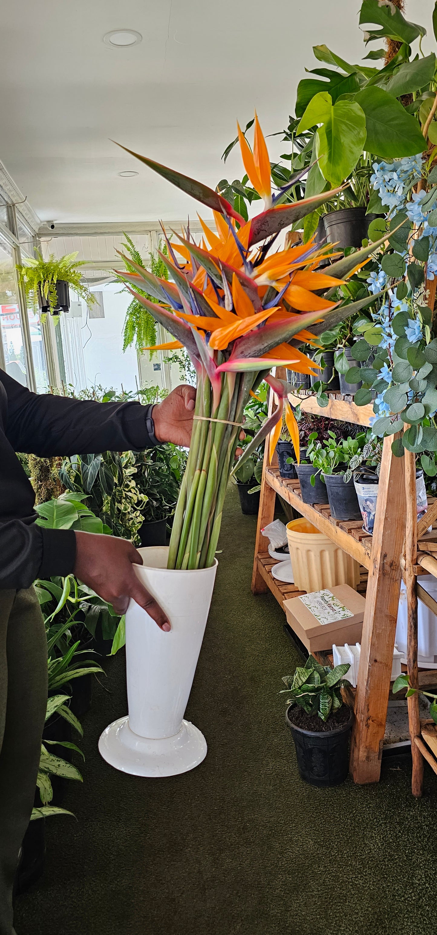 Birds of Paradise Bouquet