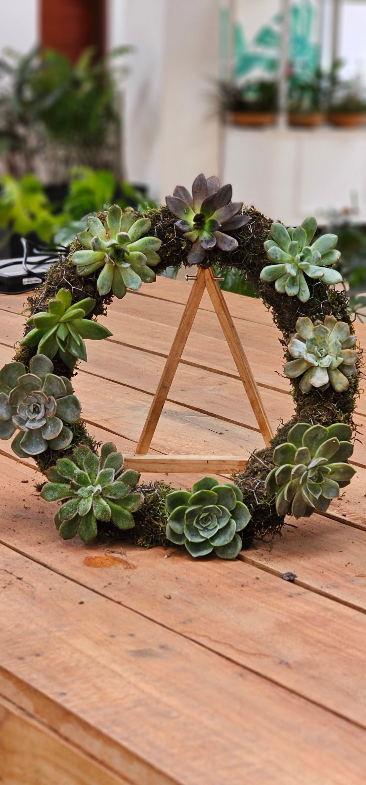 Succulent Wreath