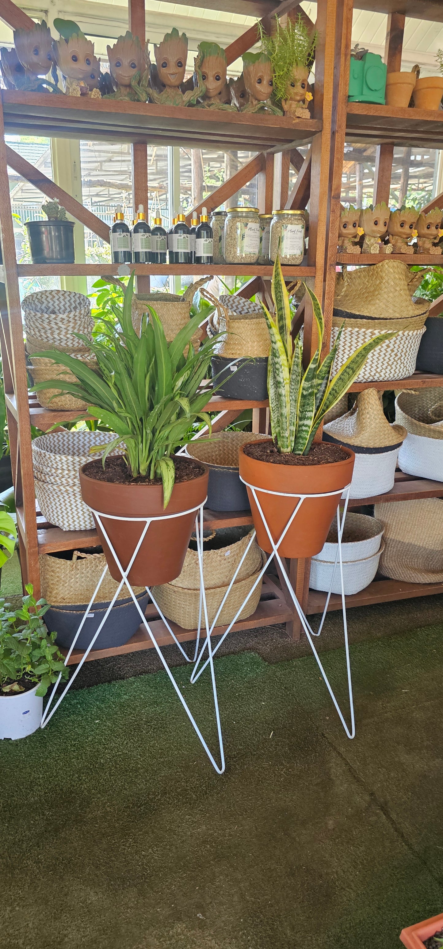 Metallic Plant Stands