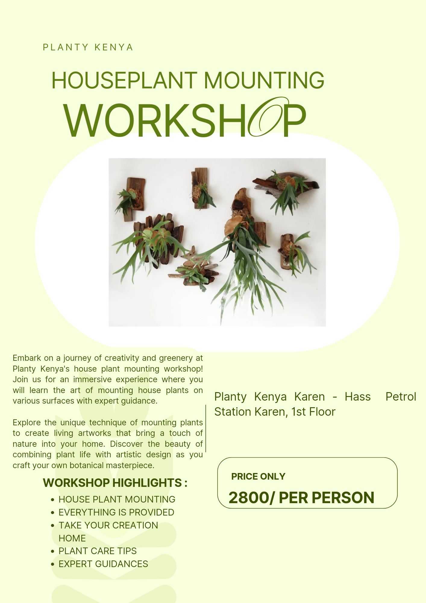 House Plant Mounting Workshop