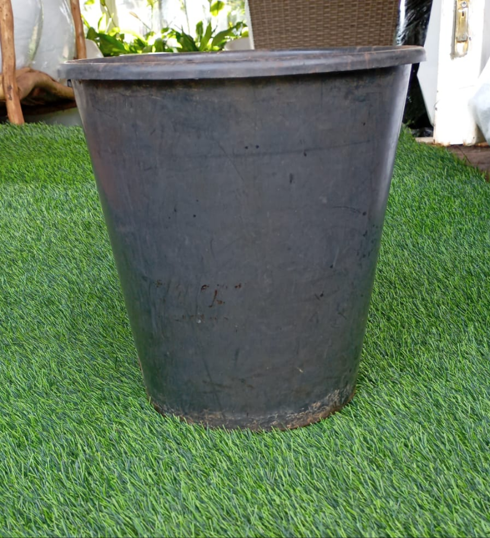 Grow Planter 4