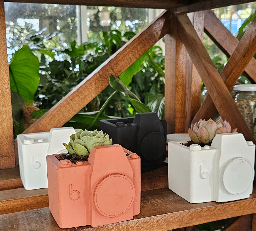 Camera Planter with Succulent