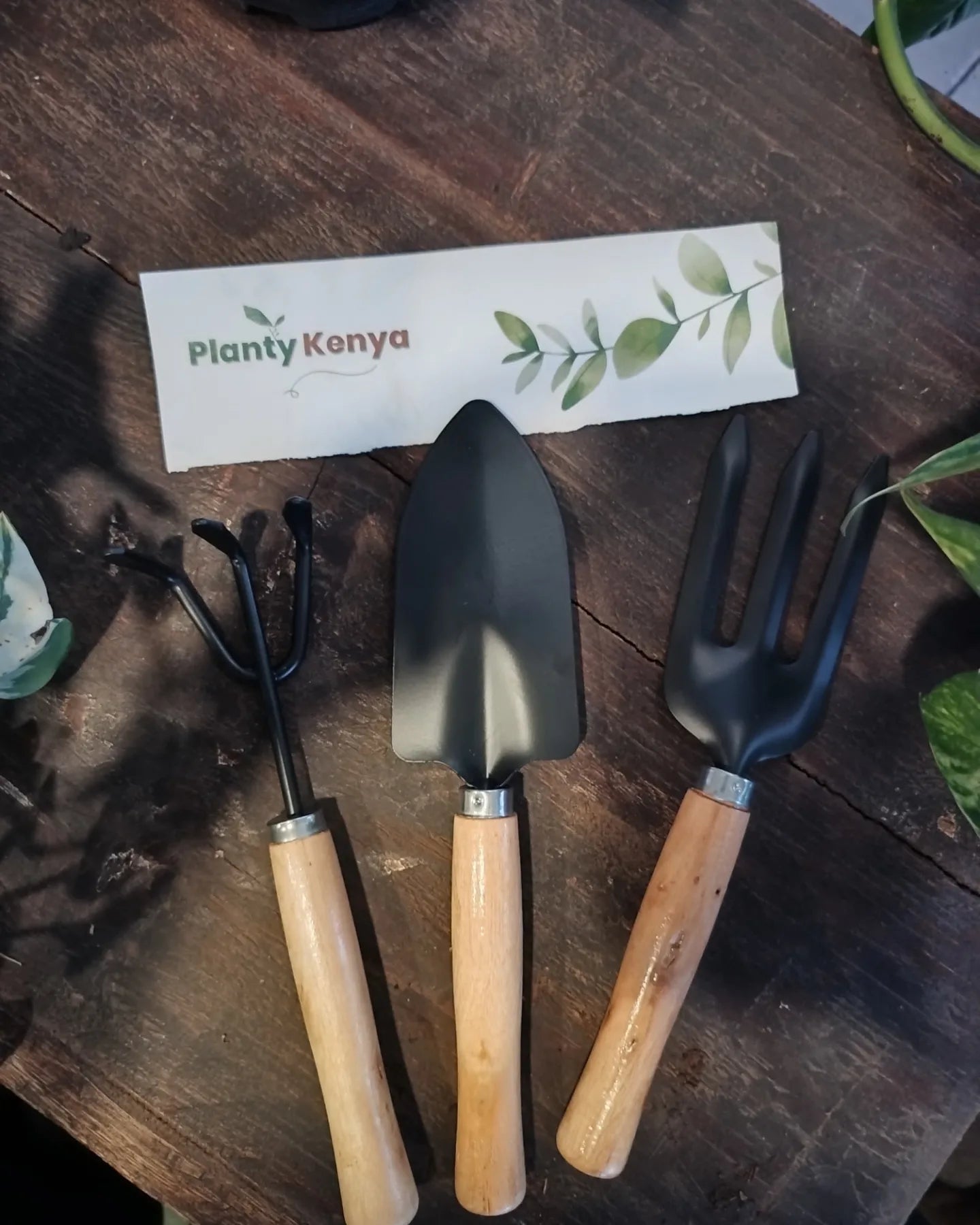 3pc Gardening Kit