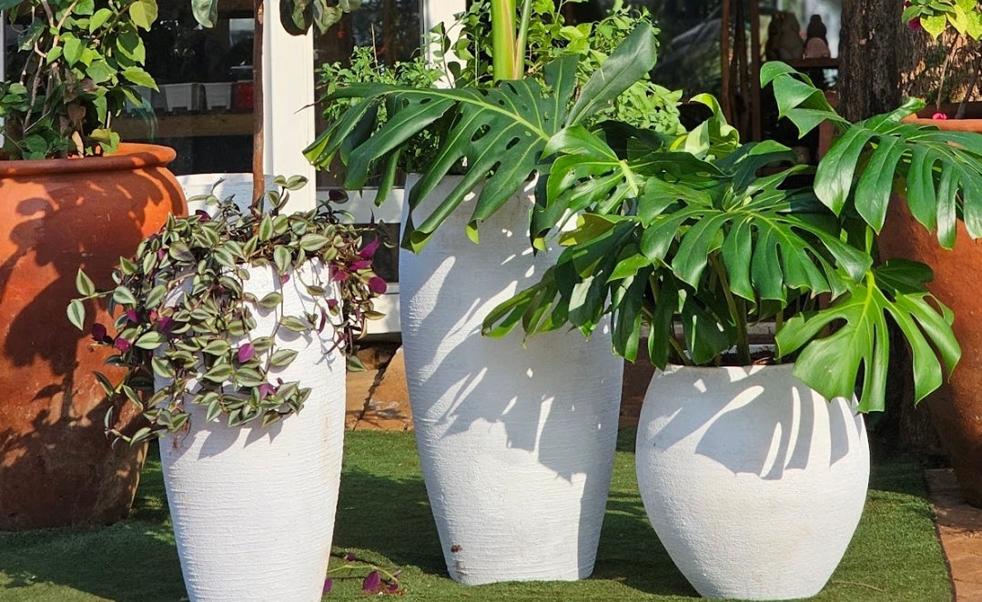 Concrete Pots