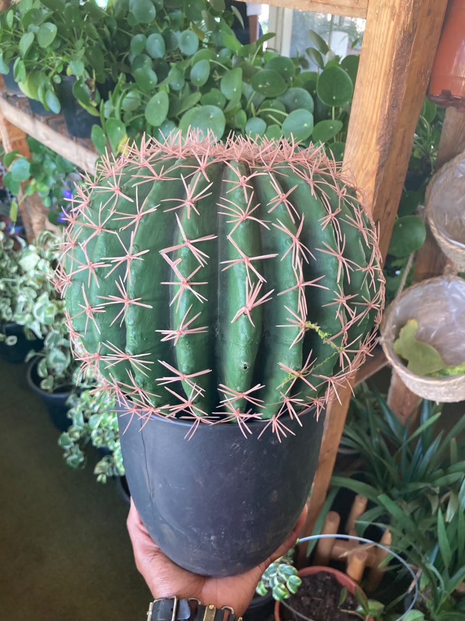Artificial Cacti