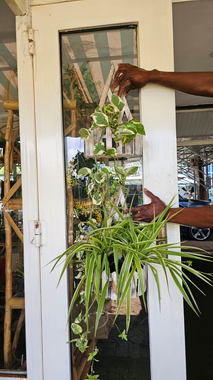 Balcony Wall Planters