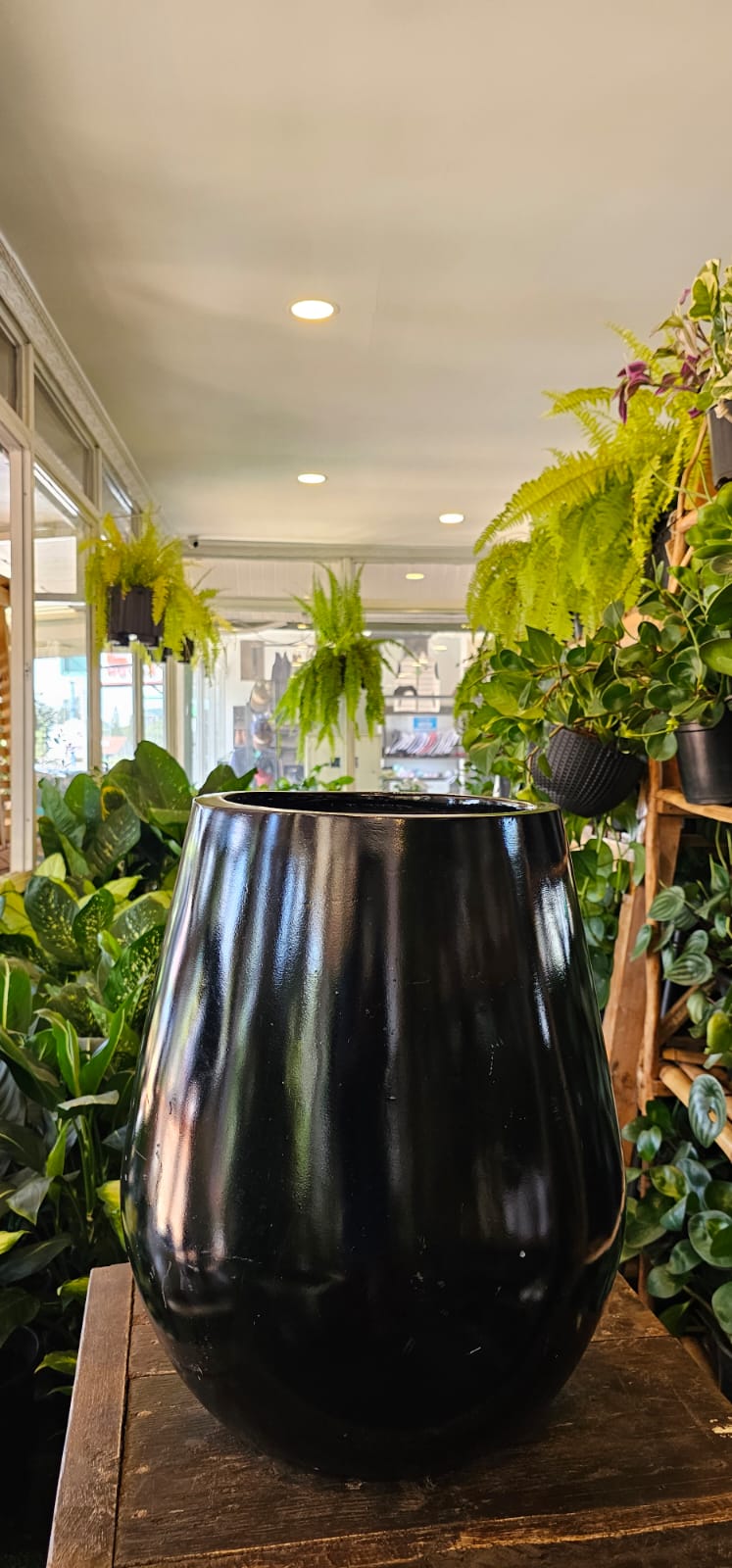 Wide Bottom Fibre Pot