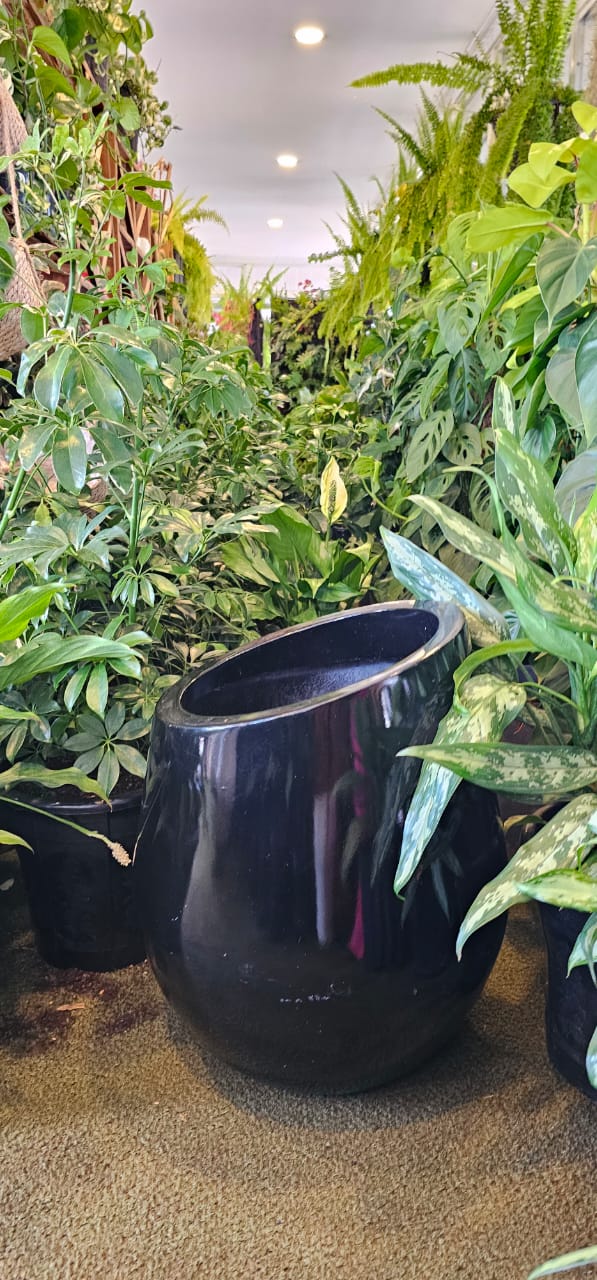 Half Neck Wide Fibre Pot