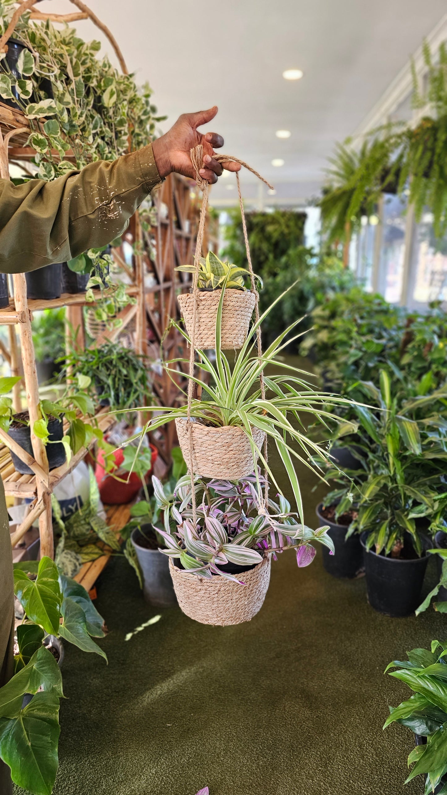 3 teir Hanging Planter