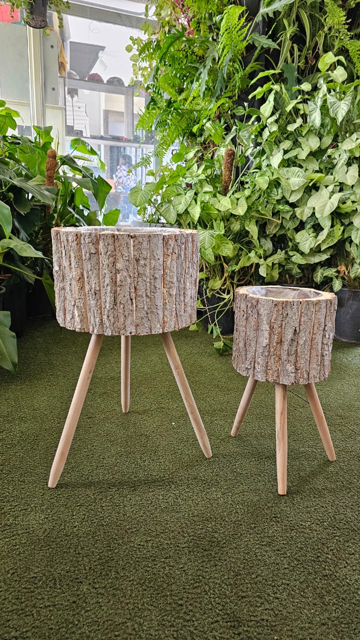 Bark Plant Stands