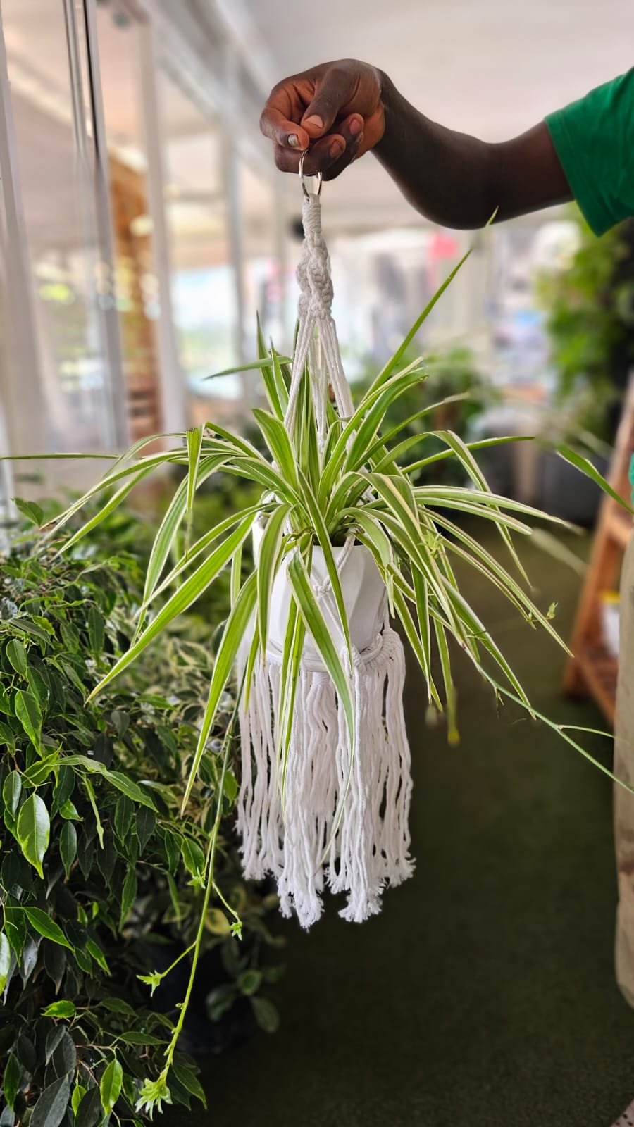 Hanging Macarame Planter