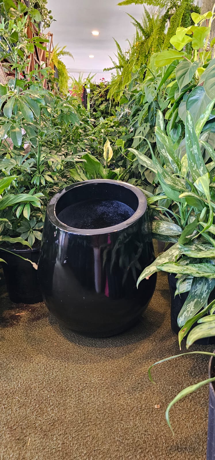 Half Neck Wide Fibre Pot