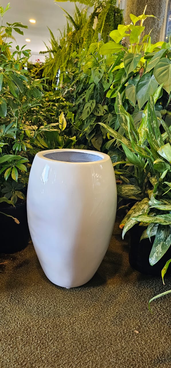Tall Fibre glass pot