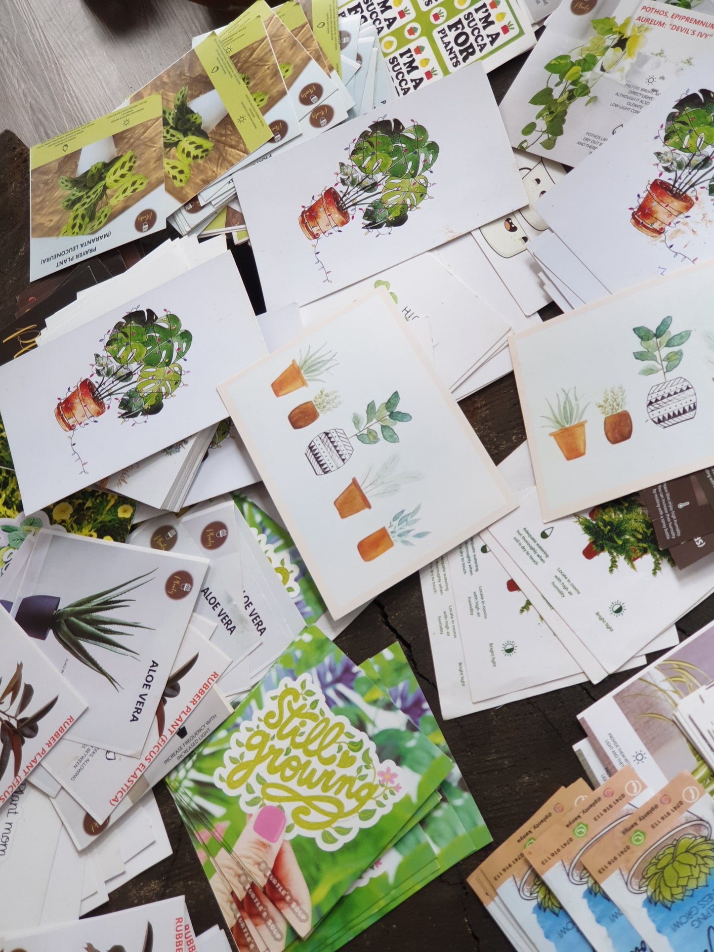 Planty Cards