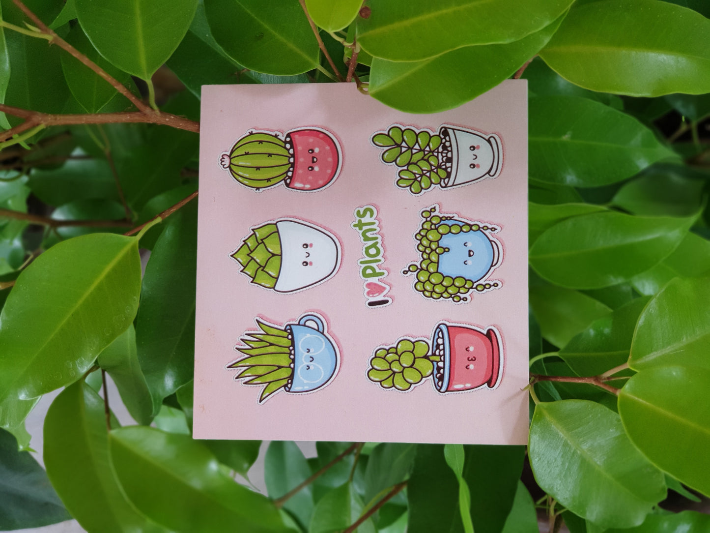 Planty Cards