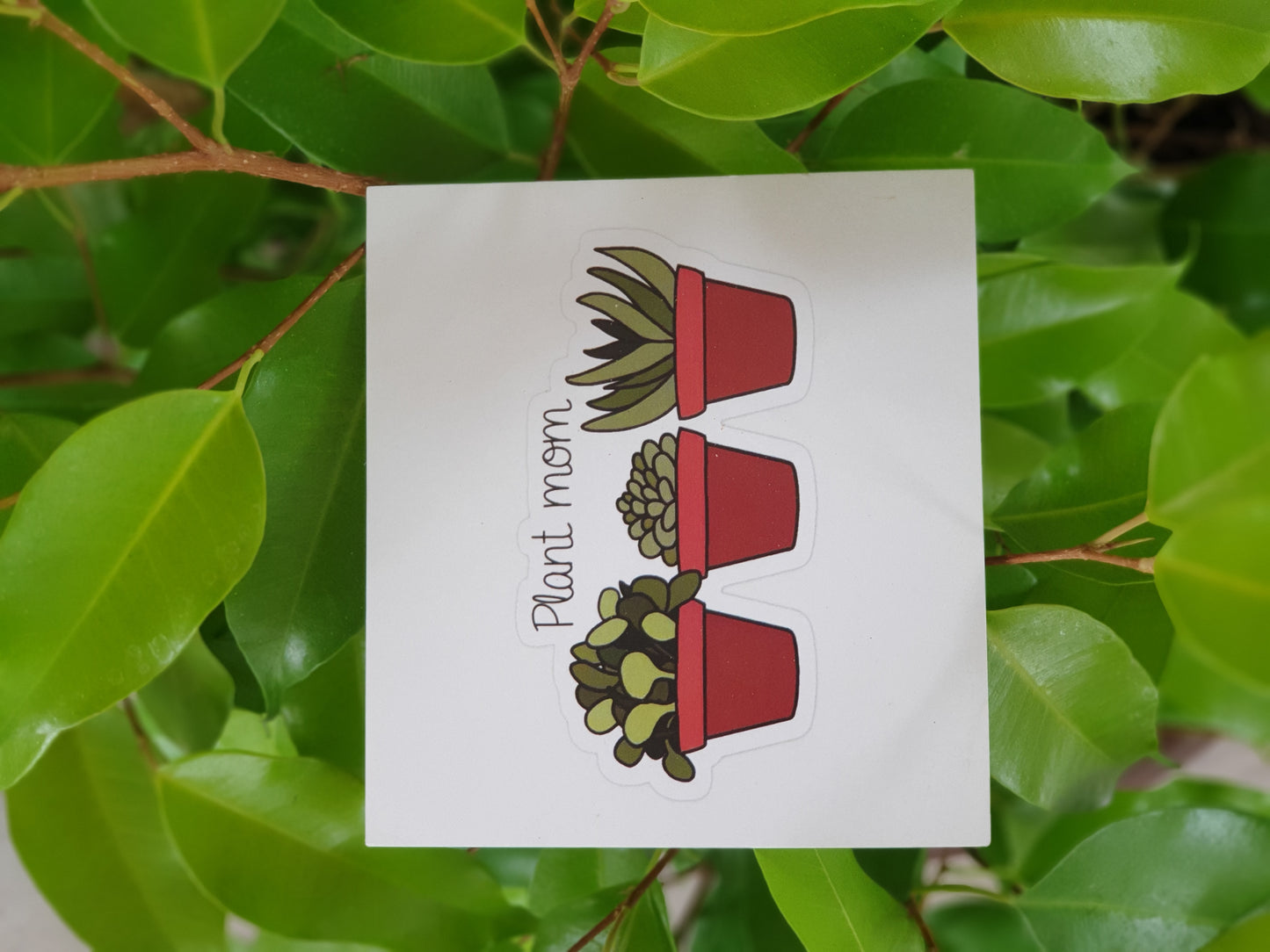 Planty Cards