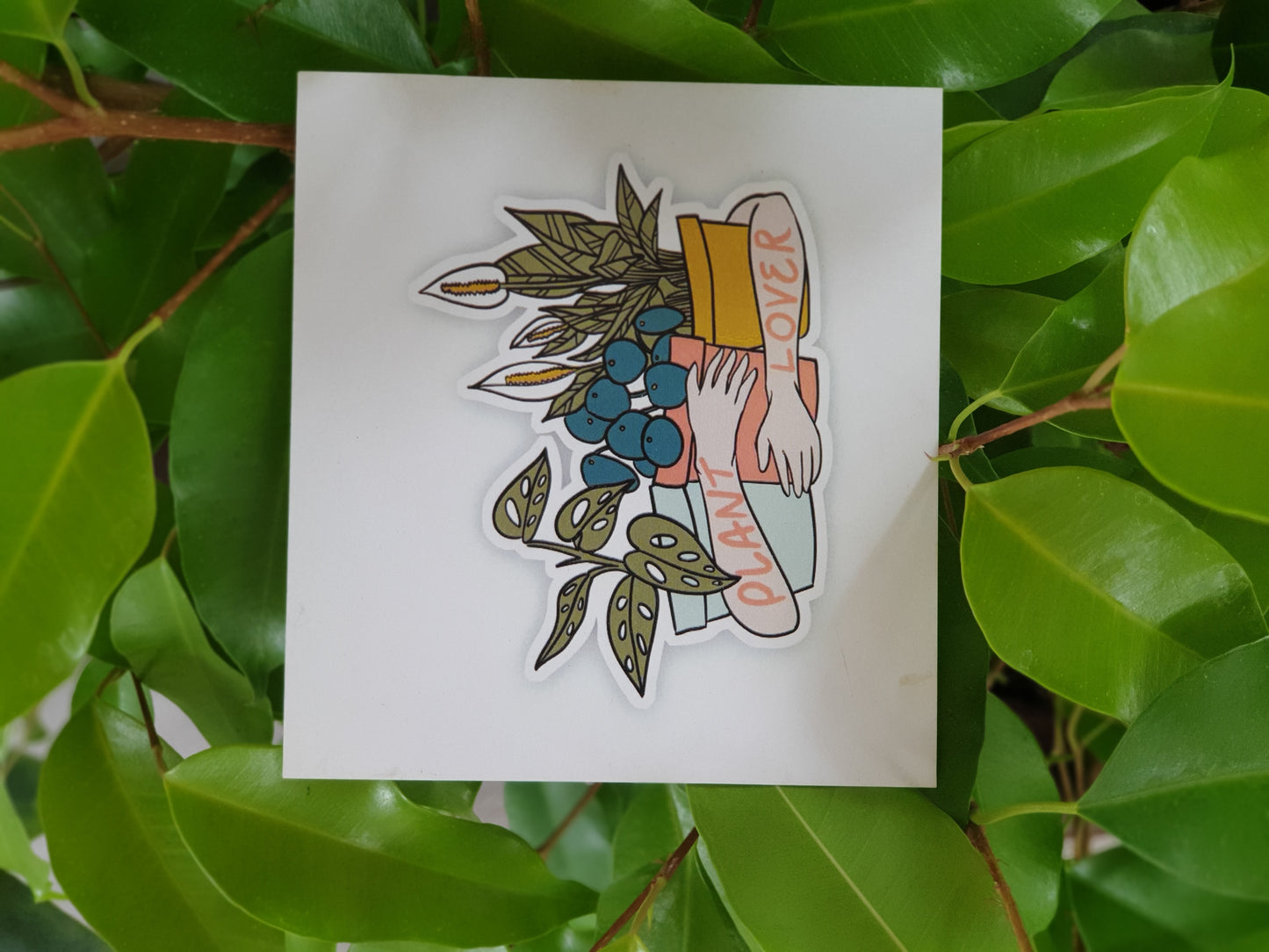 Planty Cards