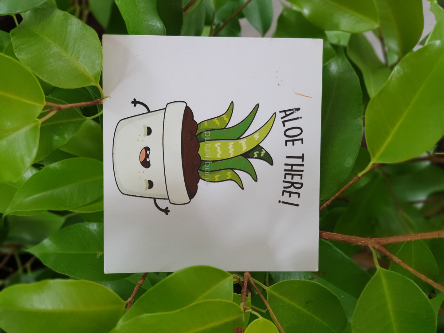 Planty Cards