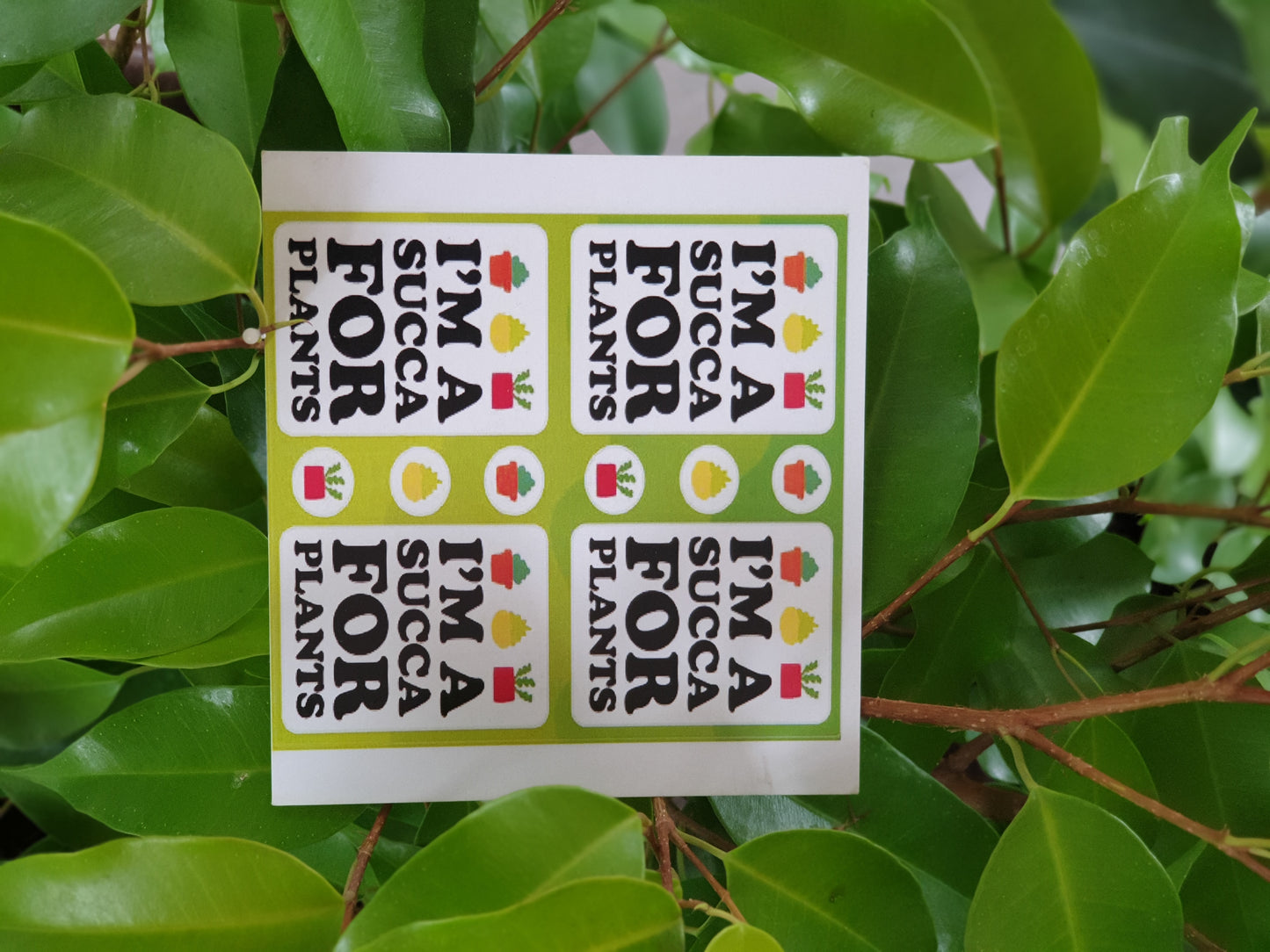 Planty Cards