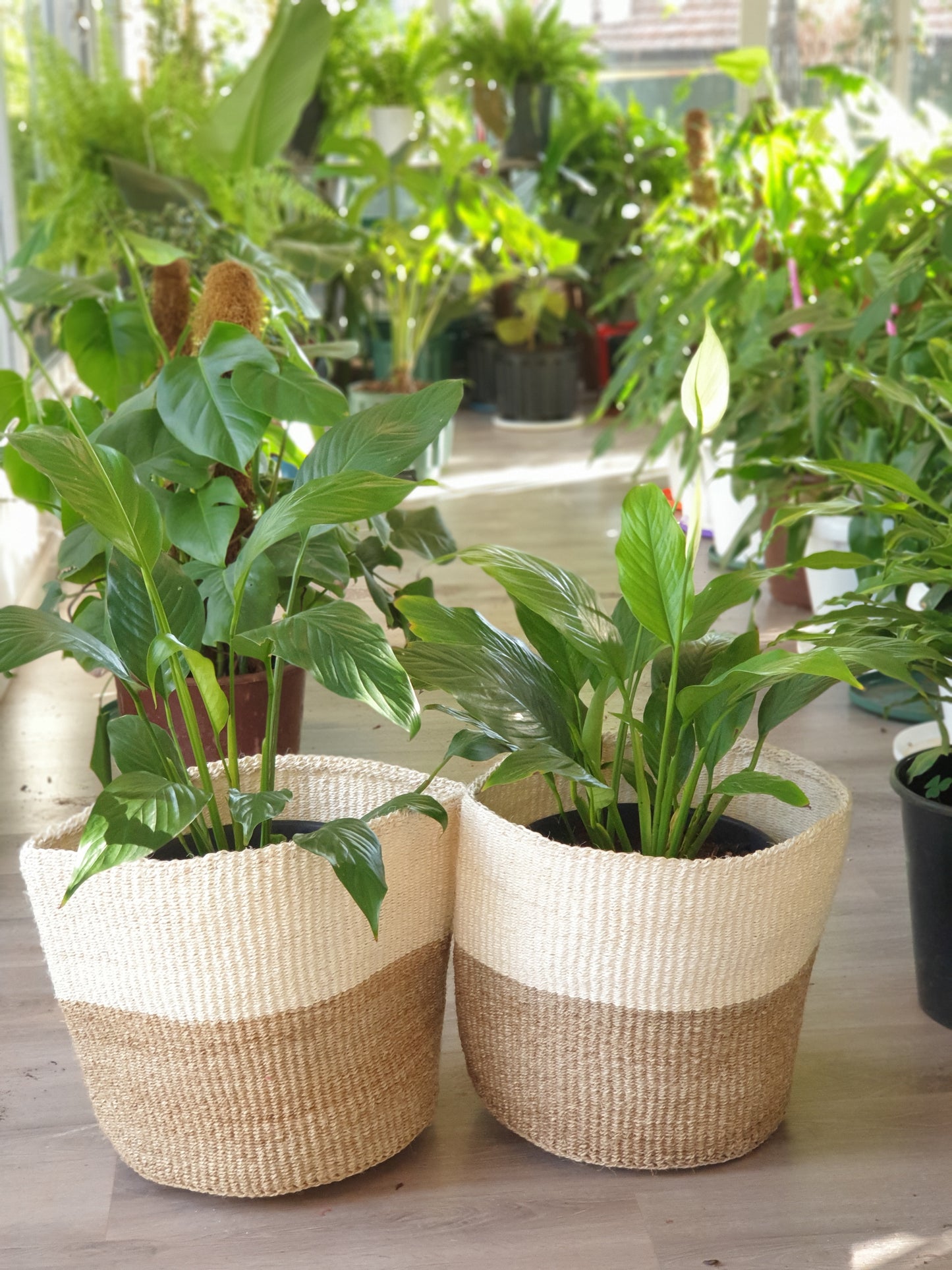 Sisal Baskets