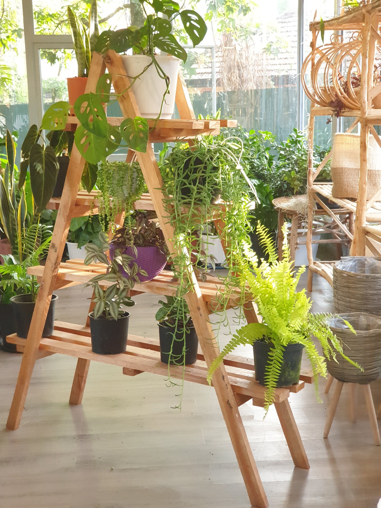 Plant Shelfie