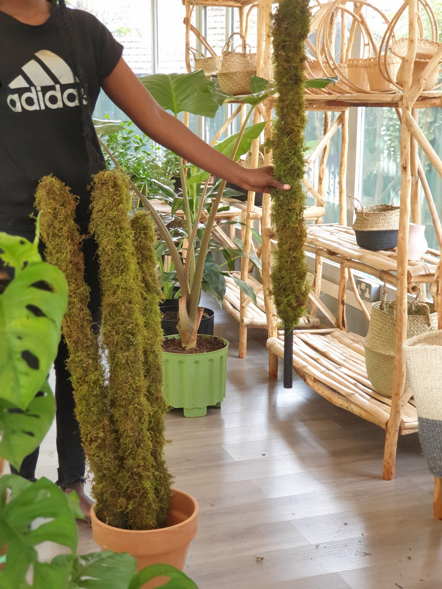 Moss pole