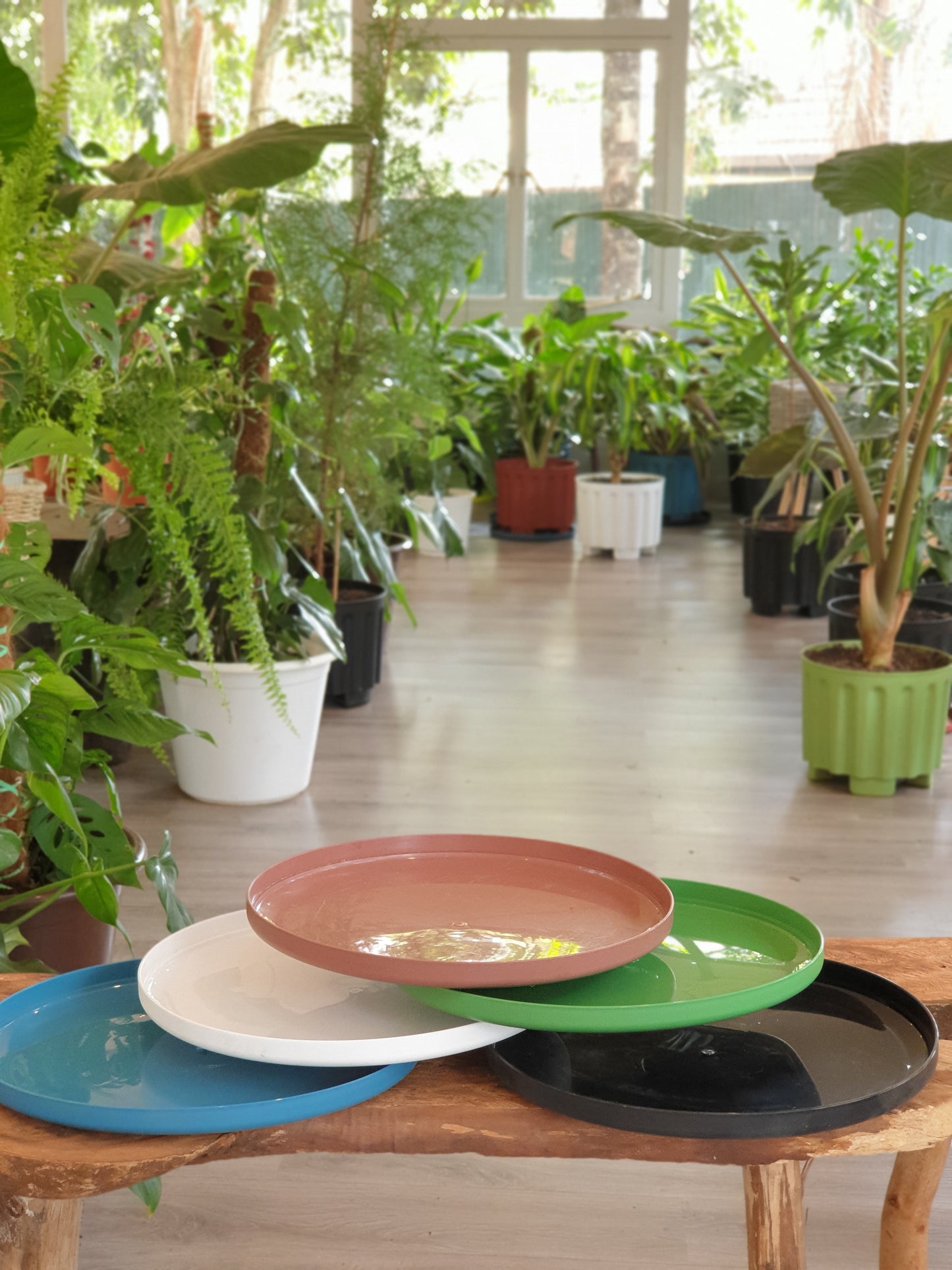 Groovy Plates
