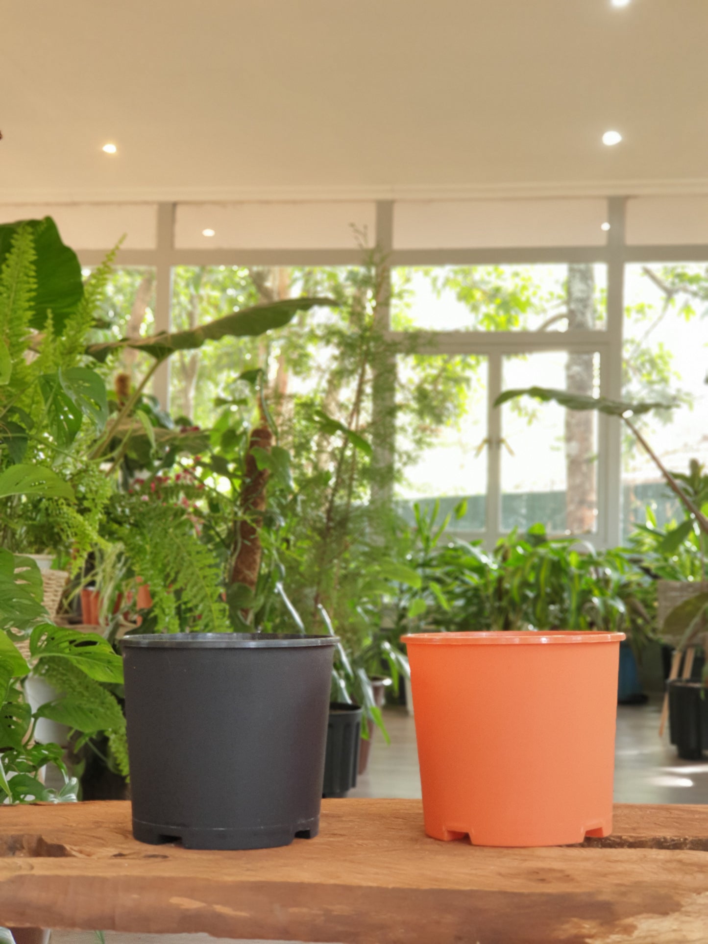 Planter No 7