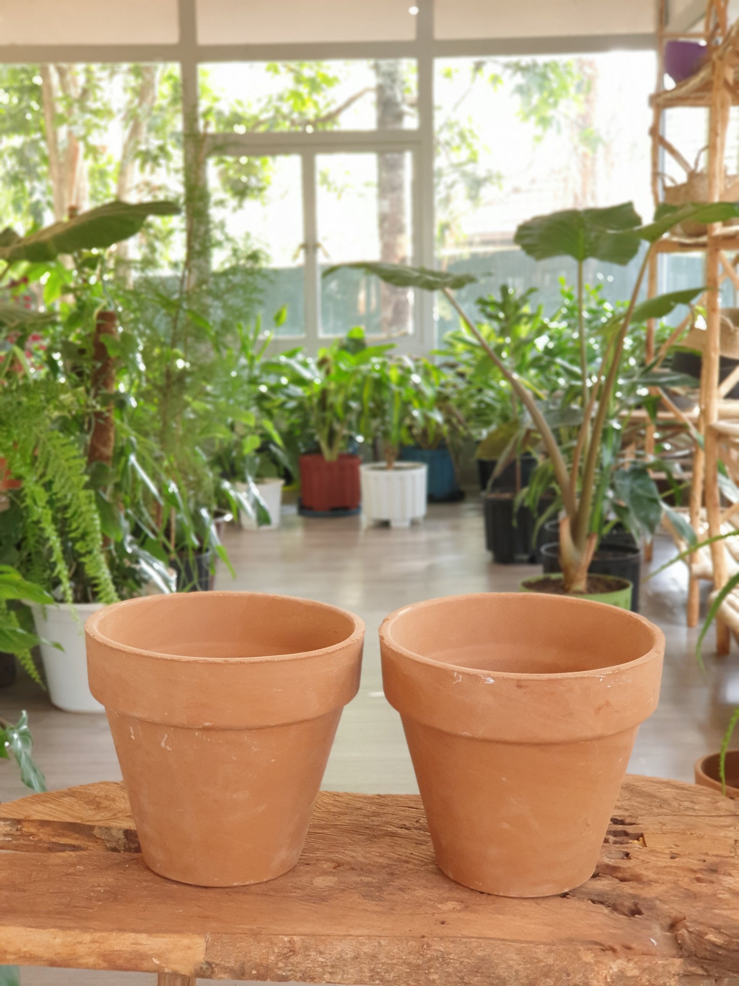 Terracotta