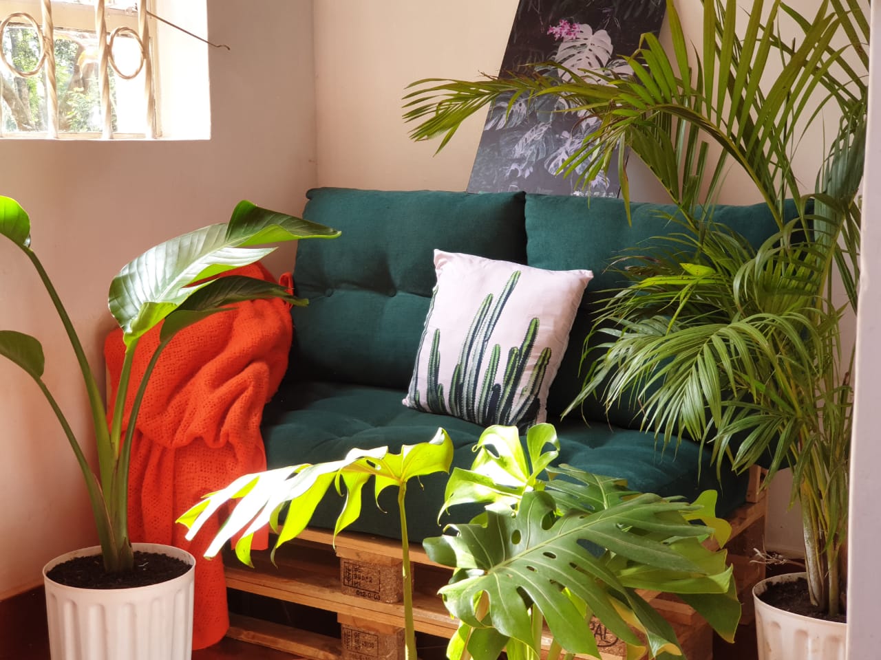 Tropical Package