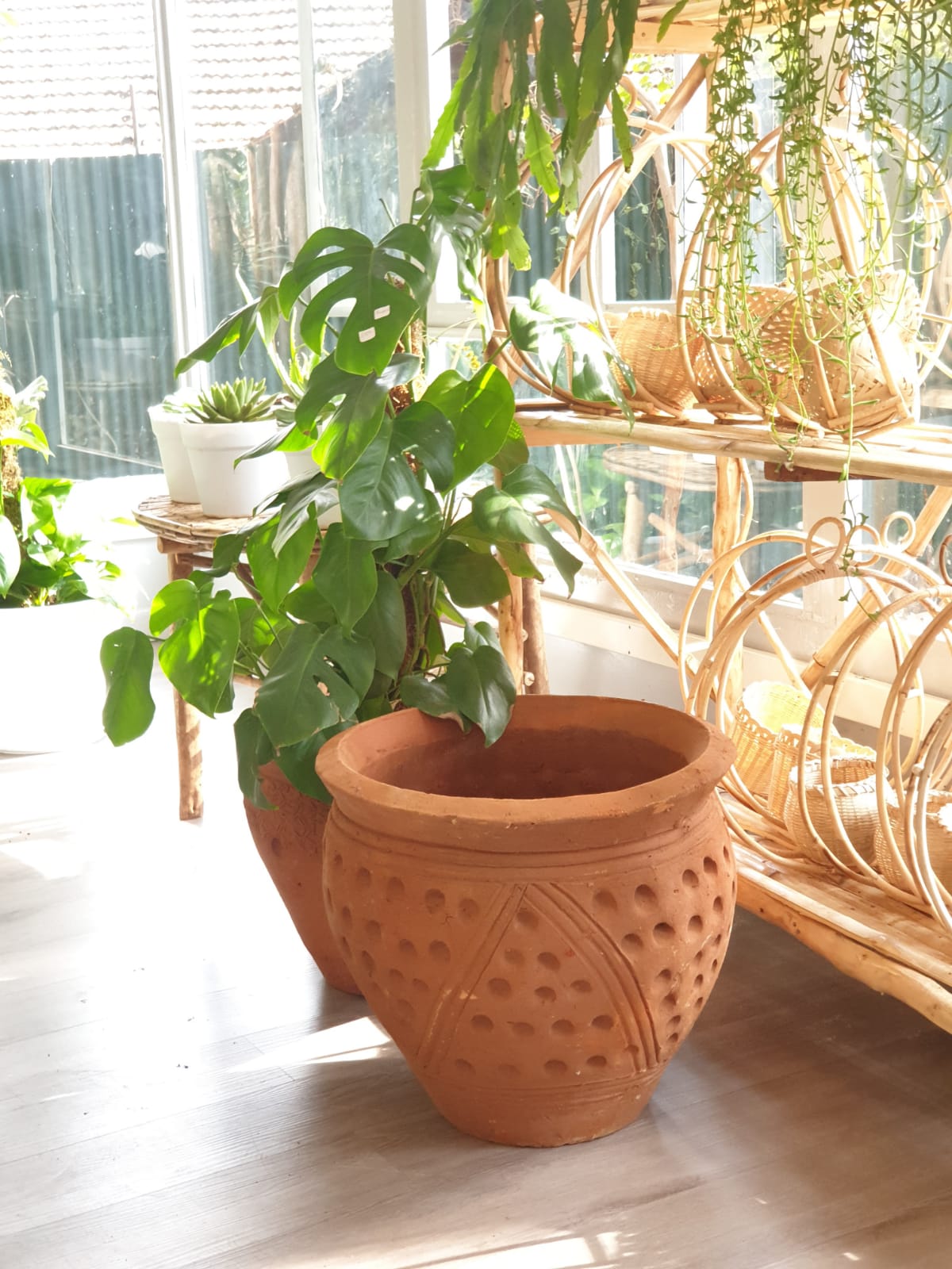 big clay pots for plants online Clay Pots | Order Online Now