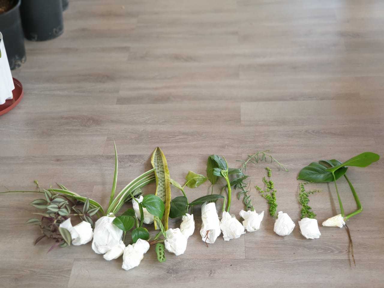 Cuttings Box Package