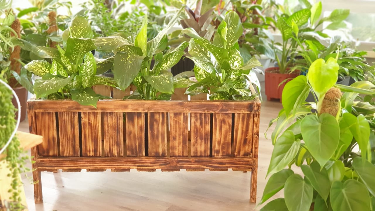 Wooden Planter Trough
