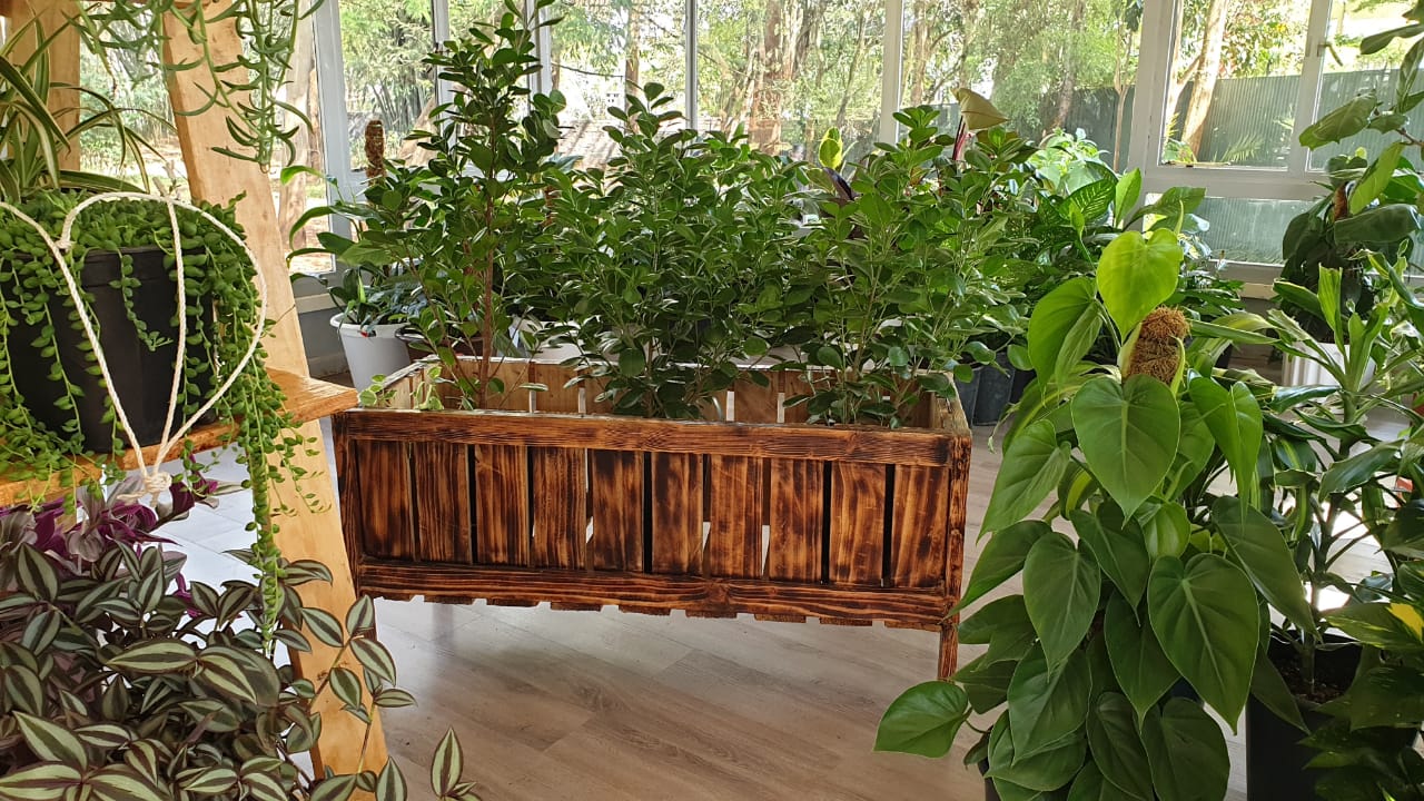Wooden Planter Trough
