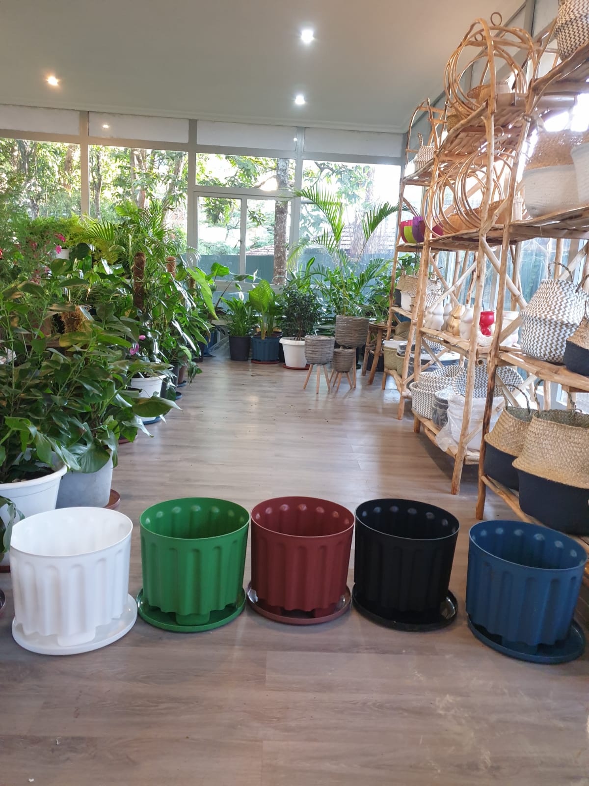potted plants for sale kenya Groovy Pots | Order Online Now