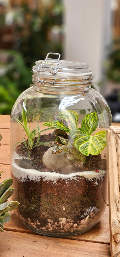 Closed Terrarium
