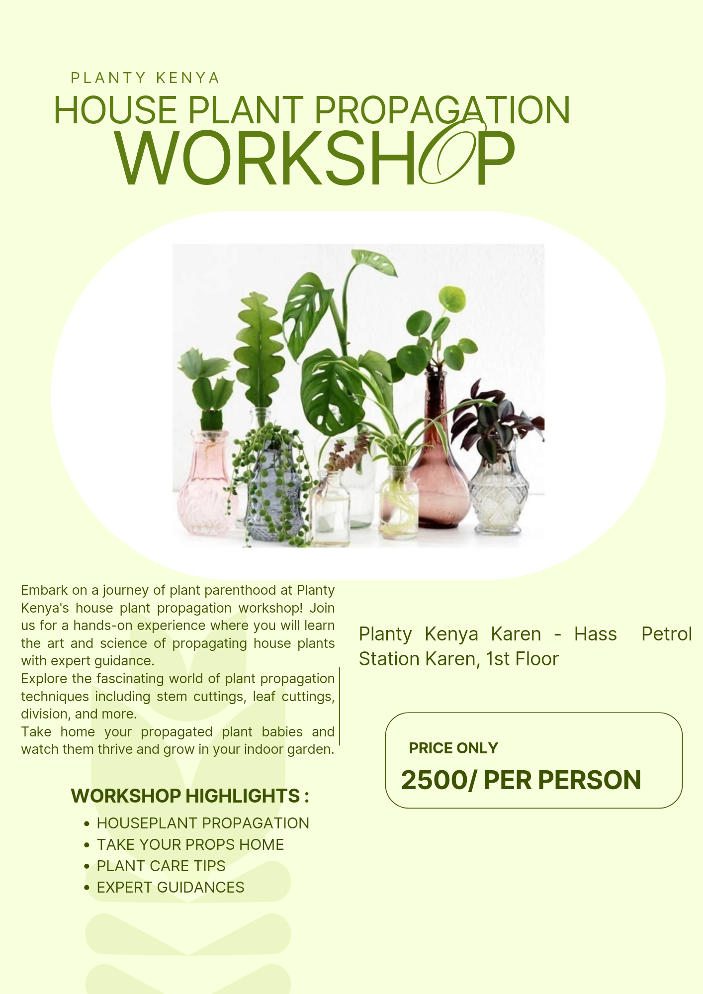 Houseplant Propagation Workshop