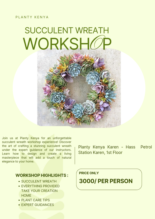 Succulent Wreath Workshop