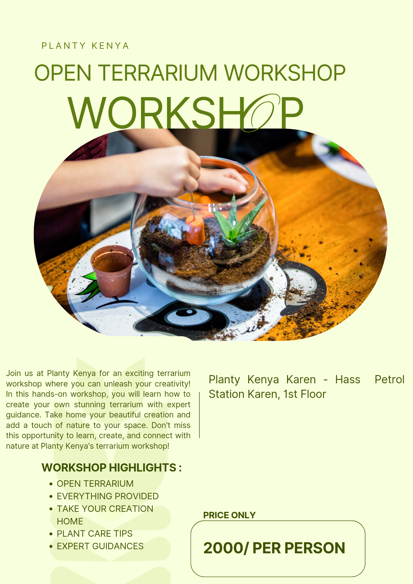 Open Terrarium Workshop