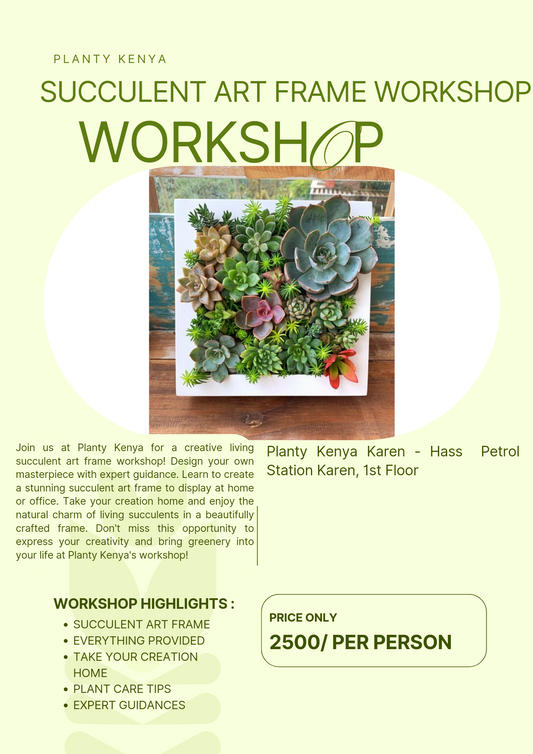 Succulent Art Frame Workshop