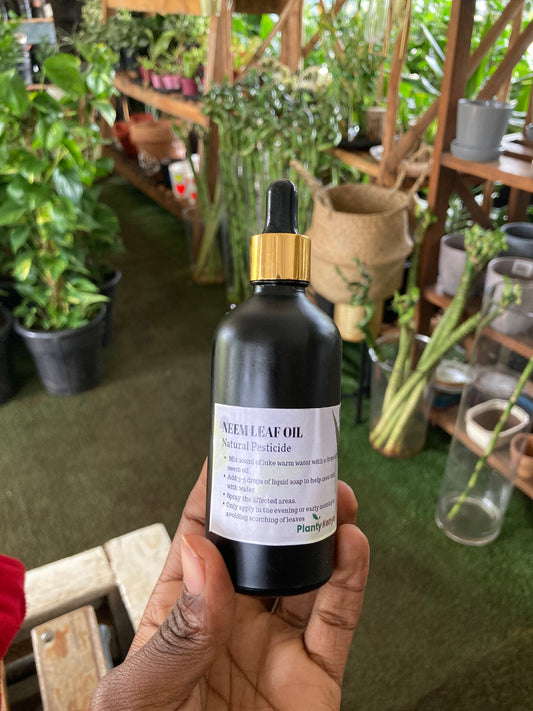 Neem leaf oil
