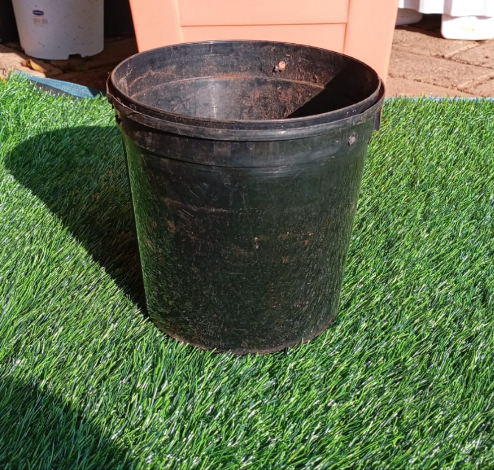 Kasuku Grow Planters