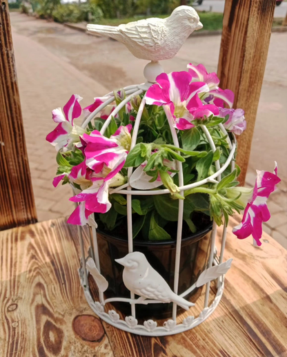 Petunia Bird Cage