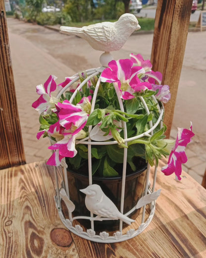 Petunia Bird Cage