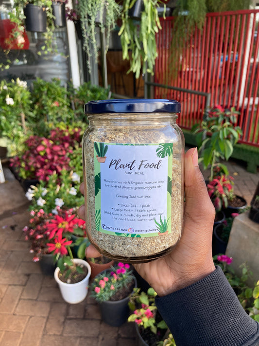Plant Food(OFFER)