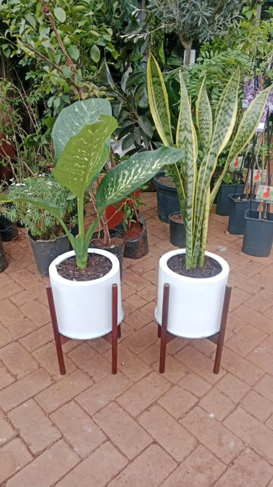 Fibre pot with stand