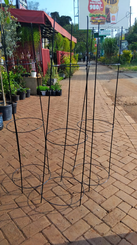 Tomato Cages
